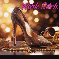 Work Bitch - Full Cover cover